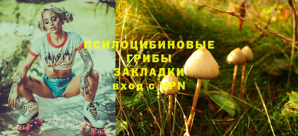 скорость Семёнов